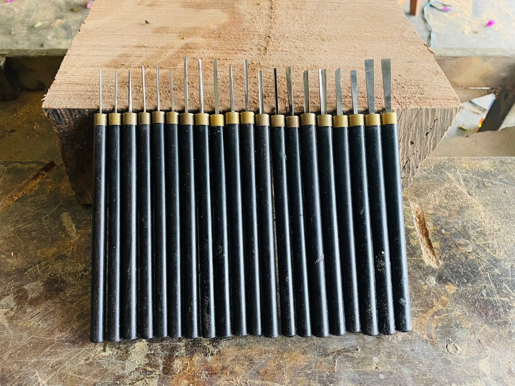 Wood Carving Chisel Set for Advanced Carver - Woodart Vietnam